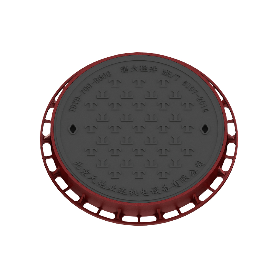 TDYD 700-E600 铸铁